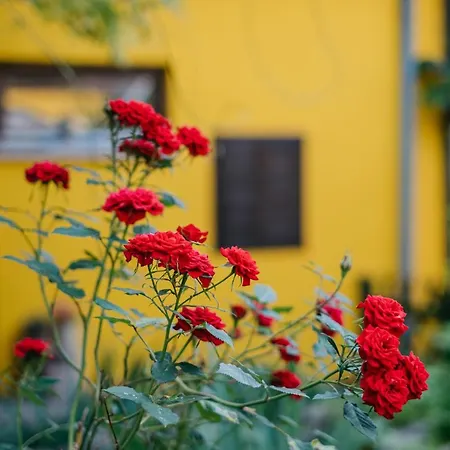 Guest house Hemina Vendeghaz